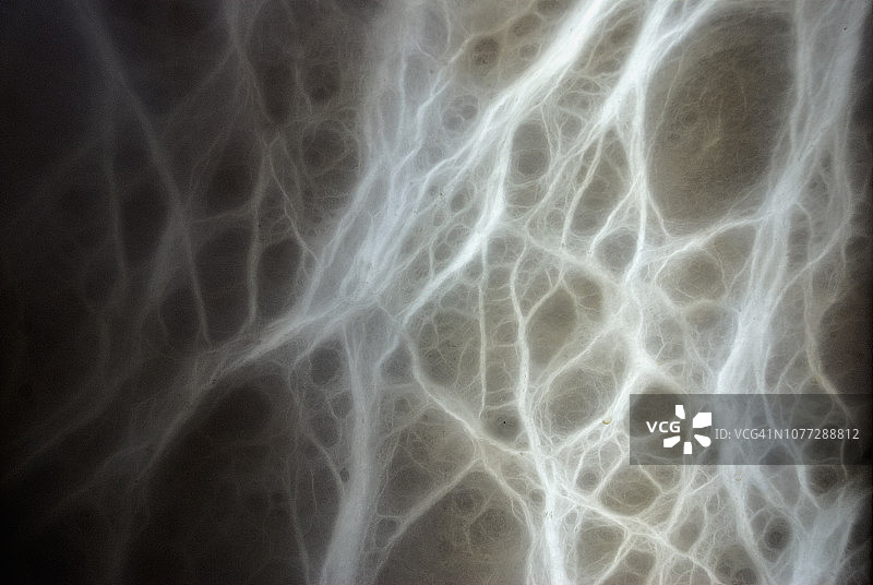 大理石纹理图片素材