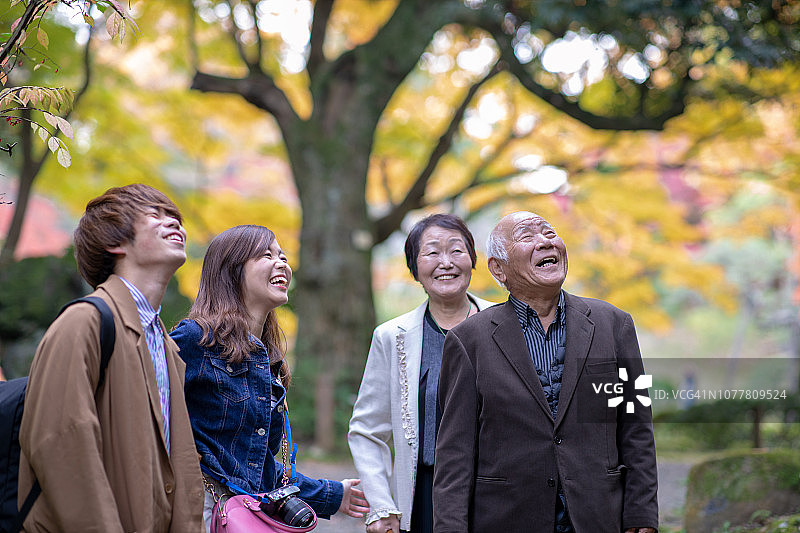 祖父母和孙辈在秋季森林徒步旅行图片素材