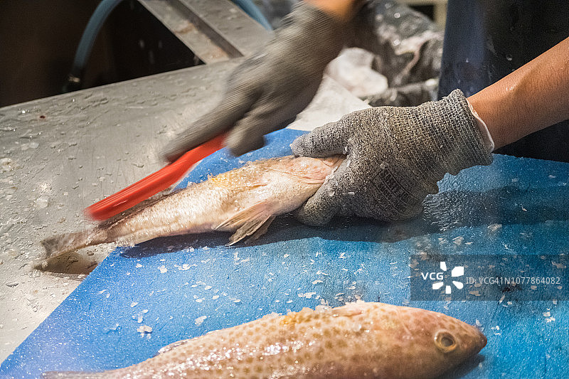手部刮鱼鳞特写图片素材
