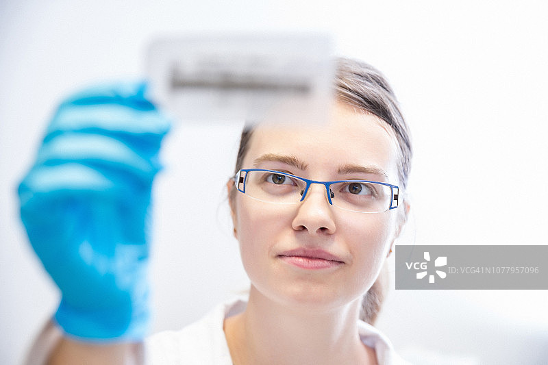 女研究员观察SDS-PAGE蛋白电泳和蛋白质免疫印迹图片素材