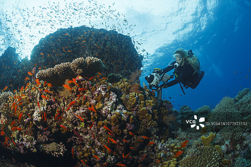 水肺潜水员探索和欣赏珊瑚礁海洋生物水下照片图片素材