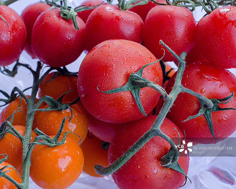 成组的番茄图片素材