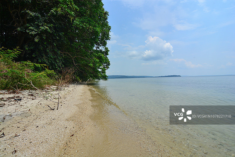 卡兰加拉岛维多利亚湖的森林海岸图片素材