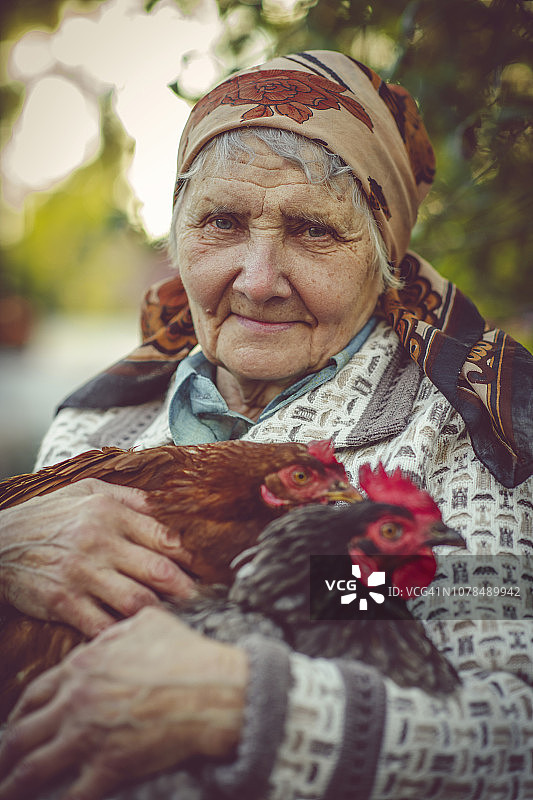 抱着鸡的老年妇女图片素材