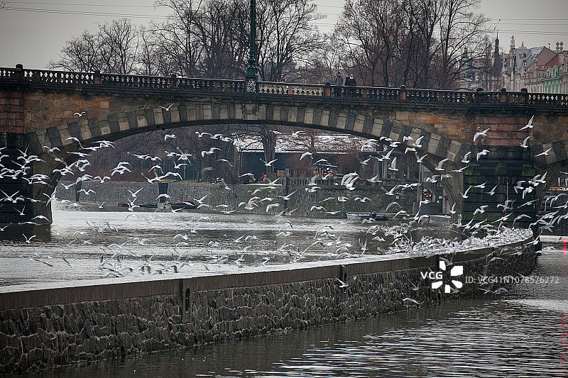 捷克共和国布拉格的伏尔塔瓦河风光图片素材