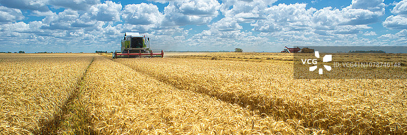 联合收割机收割小麦图片素材