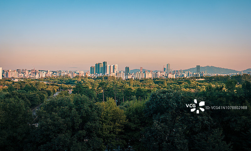 森林之上的城市天际线图片素材