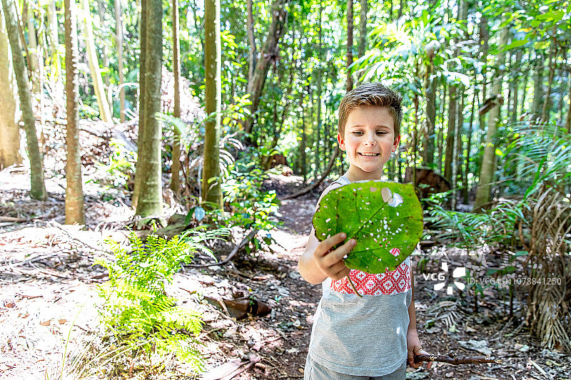 活力老人的冒险：与家人朋友在澳大利亚雨林中丛林徒步图片素材