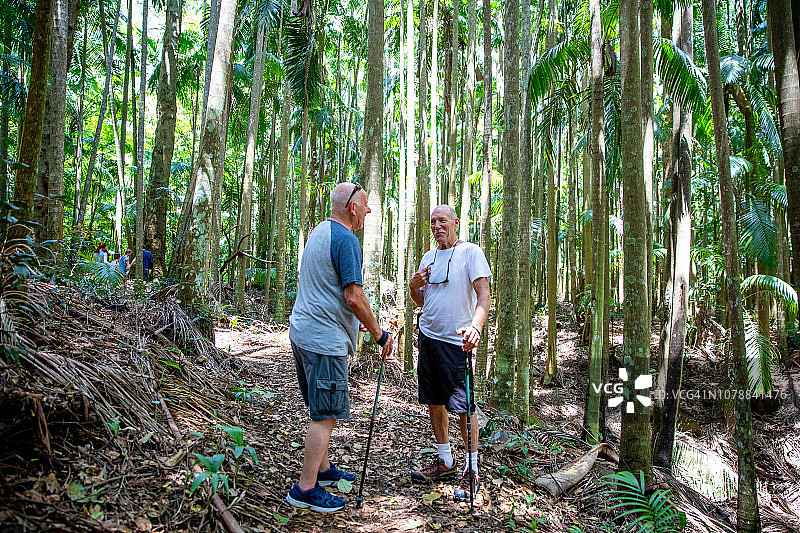 活力老人的冒险：与家人朋友在澳大利亚雨林中丛林徒步图片素材