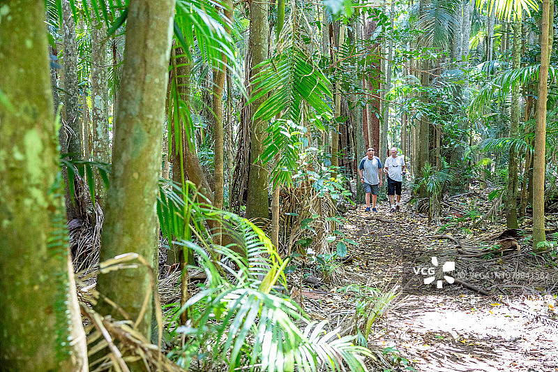 活力老人的冒险：与家人朋友在澳大利亚雨林中丛林徒步图片素材