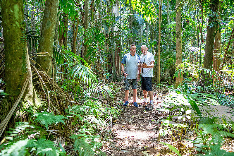 活力老人的冒险：与家人朋友在澳大利亚雨林中丛林徒步图片素材