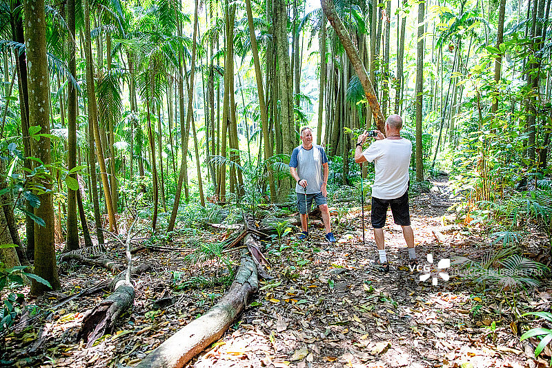 活力老人的冒险：与家人朋友在澳大利亚雨林中丛林徒步图片素材