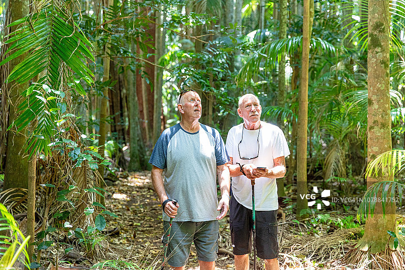 活力老人的冒险：与家人朋友在澳大利亚雨林中丛林徒步图片素材