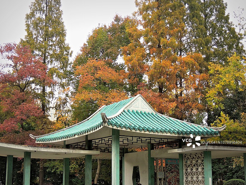 中国合肥逍遥津公园的秋色与绿松石亭图片素材