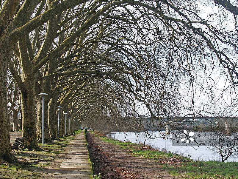 利马桥图片素材