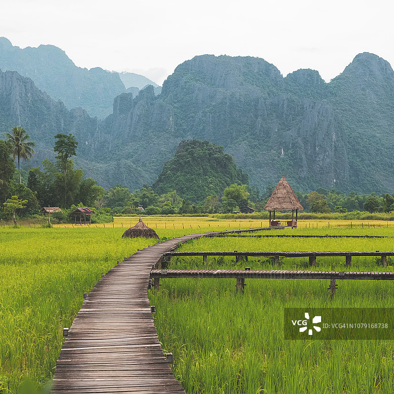 老挝万荣群山环绕的稻田美景图片素材