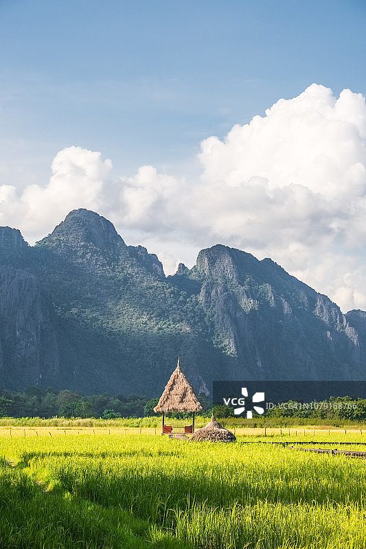老挝万荣群山环绕的稻田美景图片素材