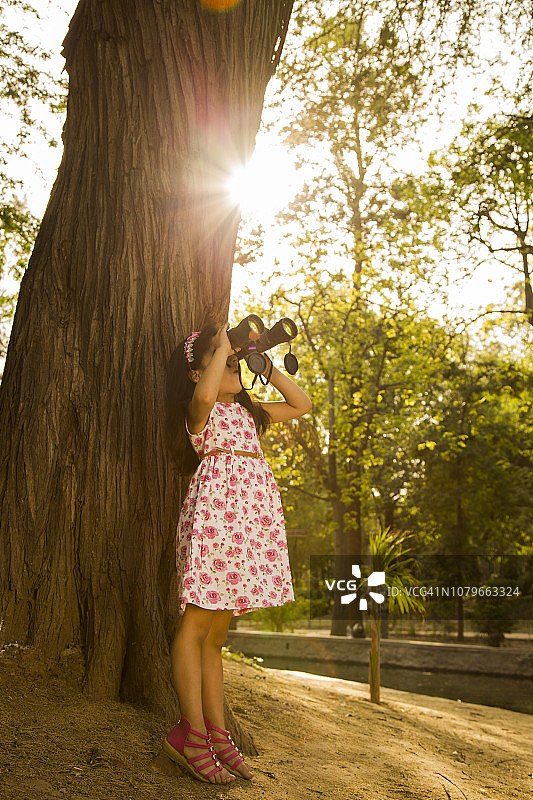 夏季风景图片图片素材