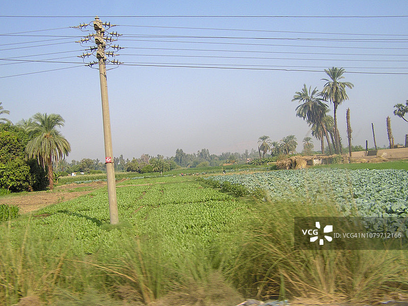 尼罗河谷图片素材