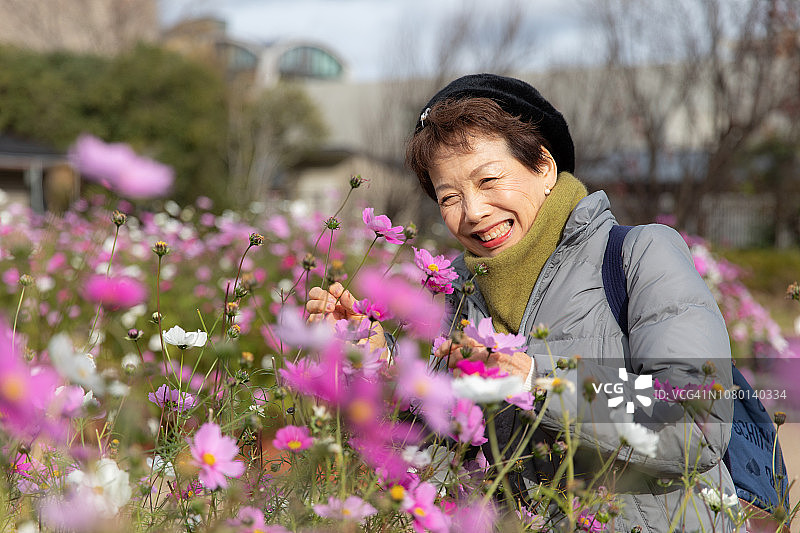 欣赏波斯菊的日本女人图片素材