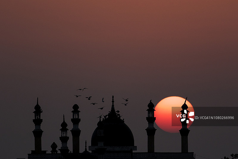 日落时分降落在穹顶上的一群鸽子图片素材