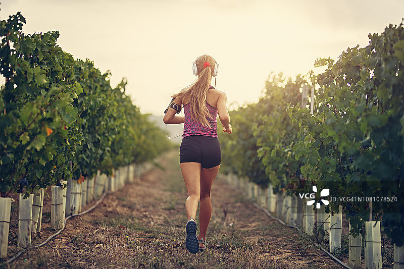 少女在葡萄园里慢跑图片素材