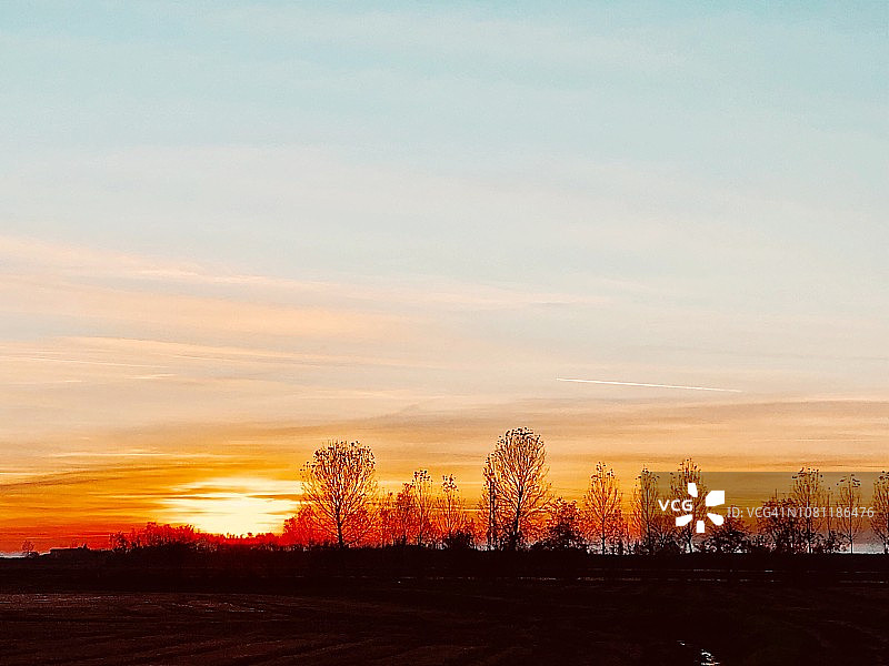 意大利乡村树木剪影日落，帕达纳平原，意大利北部图片素材