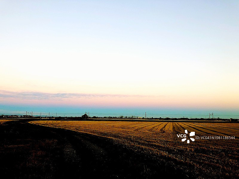 意大利乡村树木剪影日落，帕达纳平原，意大利北部图片素材