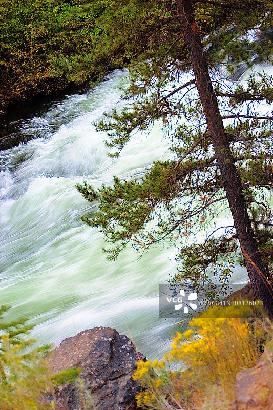 秋日森林中的河流急流图片素材