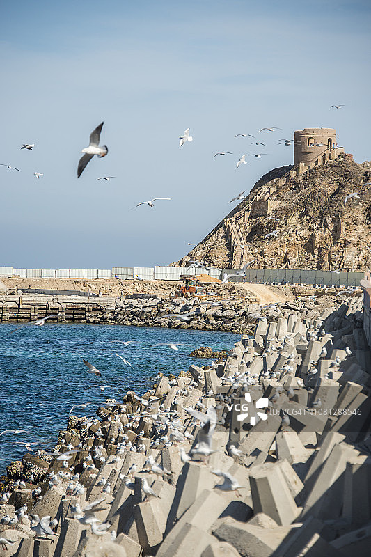 阿曼马斯喀特阿拉伯海滨海岸线防浪堤图片素材