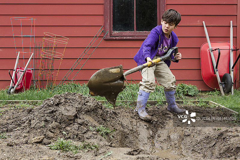 男孩在后院用铲子挖地图片素材