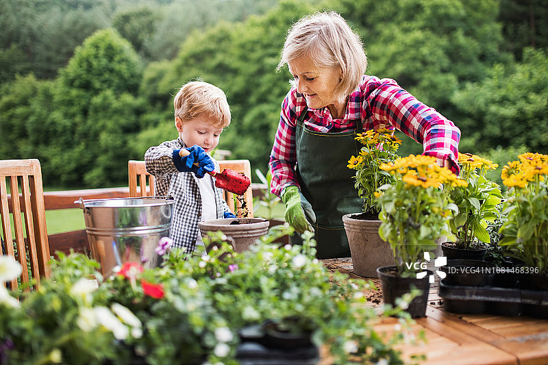 一位迷人的年长妇女和一个蹒跚学步的男孩在春夏户外种植花卉图片素材