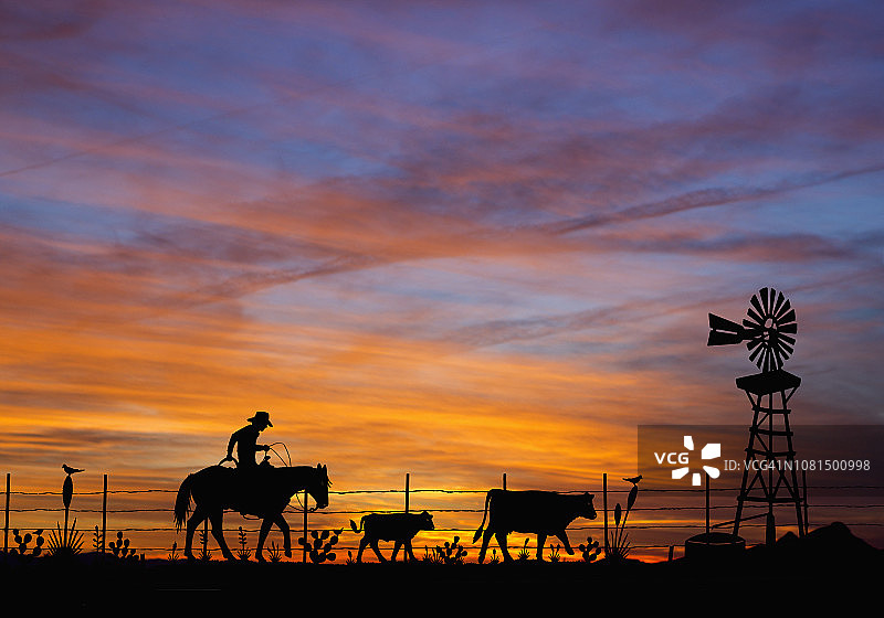 牛仔赶牛图片素材