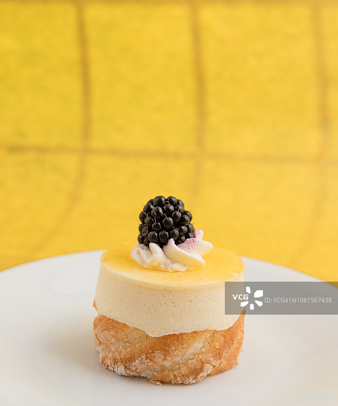 覆盆子装饰的巴伐利亚奶油图片素材