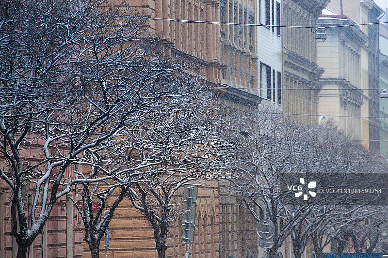 捷克共和国布拉格的雪景树木图片素材