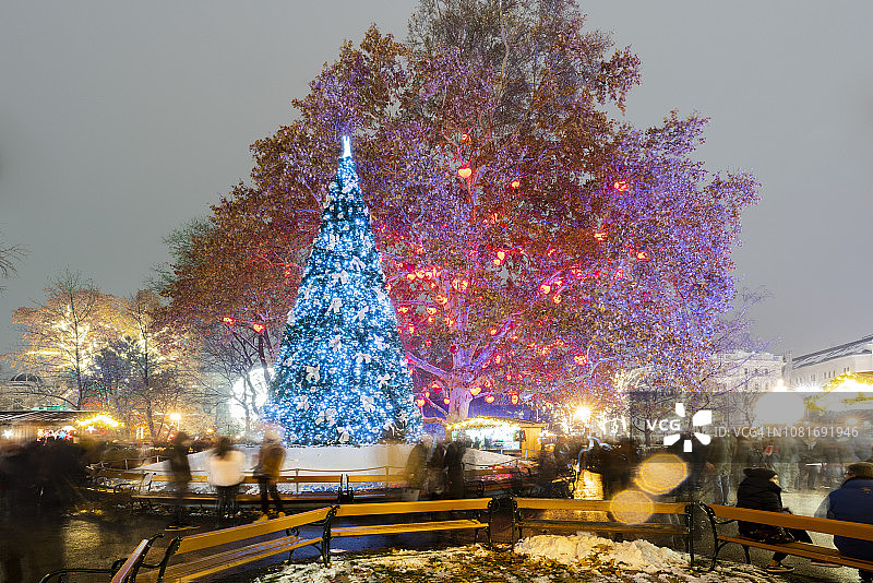 维也纳市政厅广场上装饰一新的圣诞树图片素材
