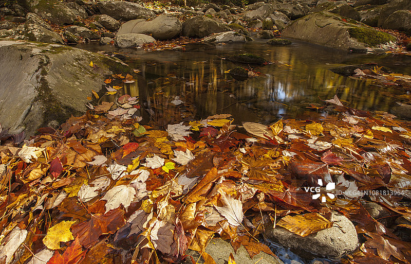 小鸽河上的秋色图片素材
