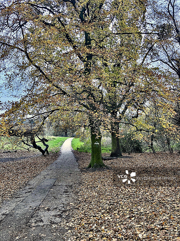 汉普斯特德希思图片素材