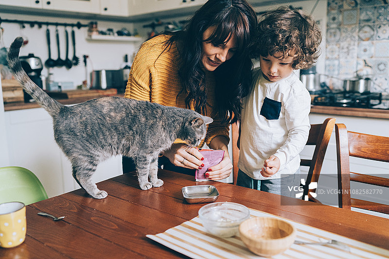 年轻女子和小男孩喂猫图片素材