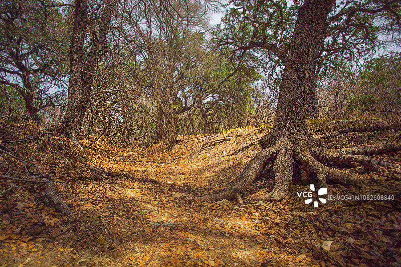 午夜秋色图片素材