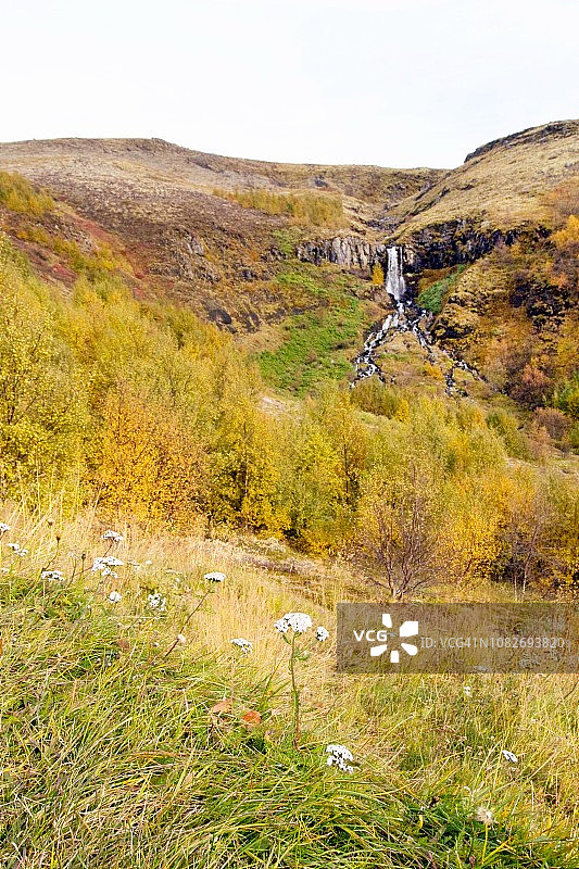 冰岛Þjóðveldisbær附近的迷你瀑布图片素材