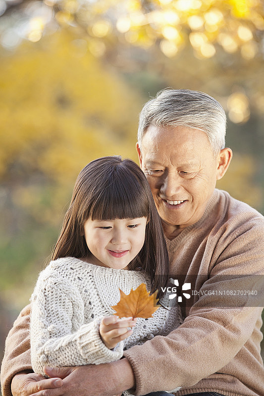 中国爷爷和孙女观赏秋叶图片素材