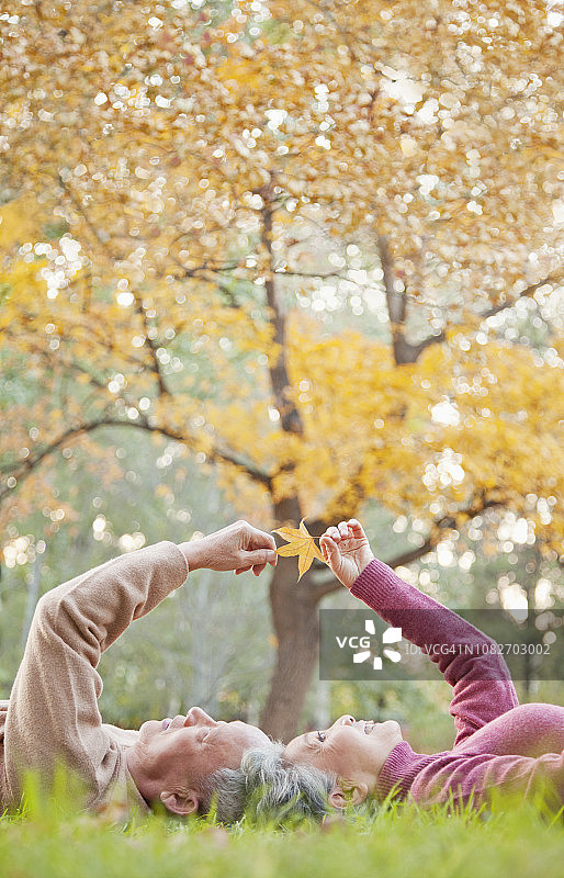 观赏秋叶的中国夫妇图片素材