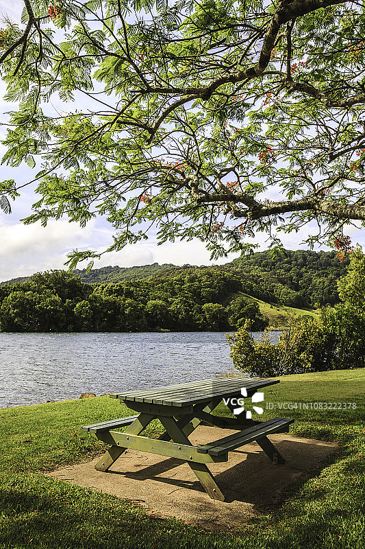 Tumbulgum凤凰木树下的野餐桌图片素材