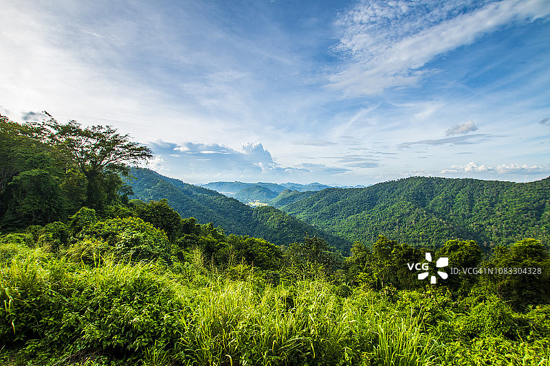 泰国考艾国家公园的热带雨林图片素材