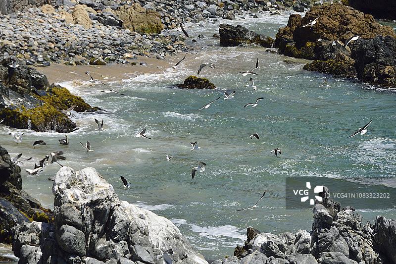 智利拉玛丽娜大道图片素材