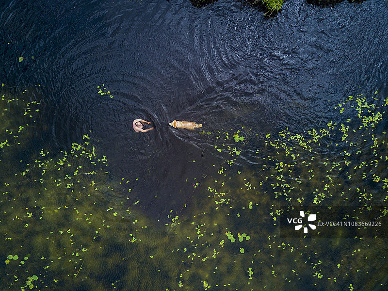 夏季，男子与他的狗在爱尔兰罗斯康芒湖中游泳图片素材