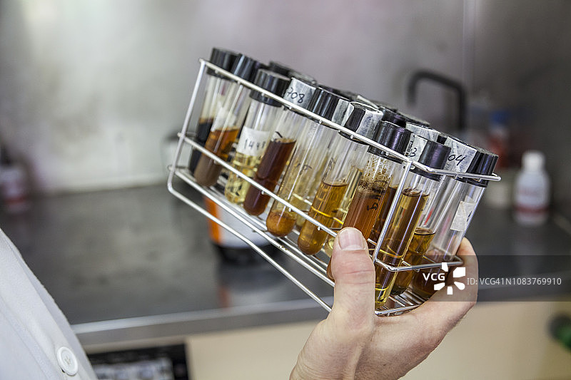 科学家手持装有待分析微生物的试管图片素材