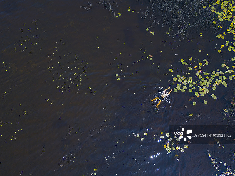 航拍：夏季爱尔兰罗斯康芒湖中游泳的男子图片素材