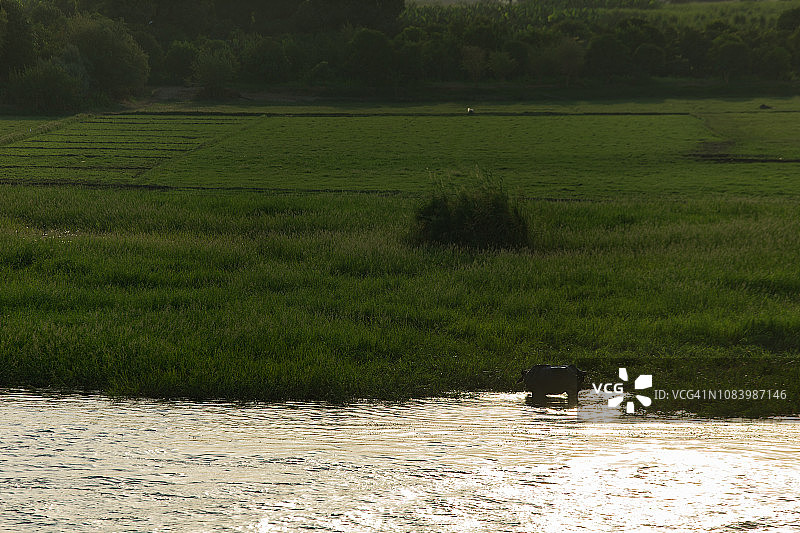 从卢克索到阿斯旺：尼罗河上的游船风光（埃及）图片素材